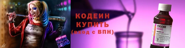 амф Богородицк