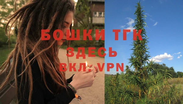 амф Богородицк