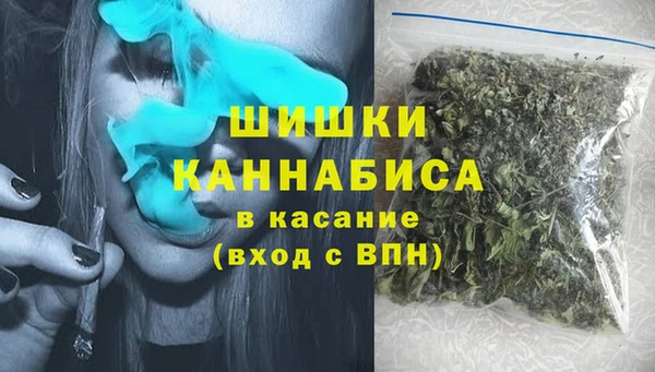 амф Богородицк