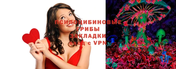 гидра Бугульма
