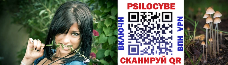 купить   Верхотурье  Галлюциногенные грибы Magic Shrooms 